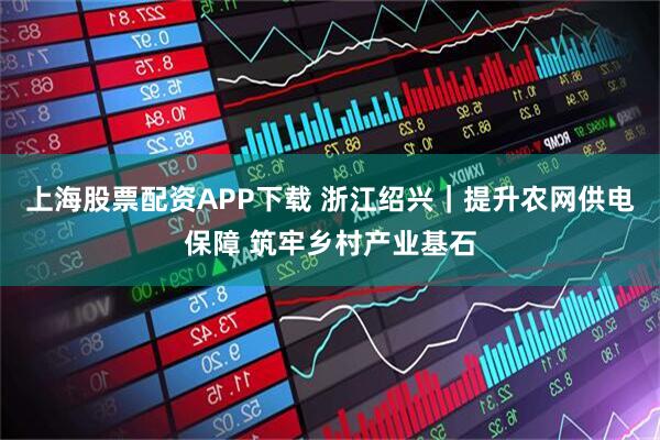 上海股票配资APP下载 浙江绍兴｜提升农网供电保障 筑牢乡村产业基石